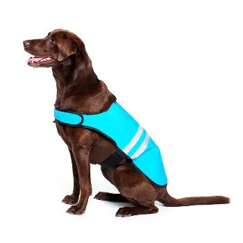 Cooling Vest