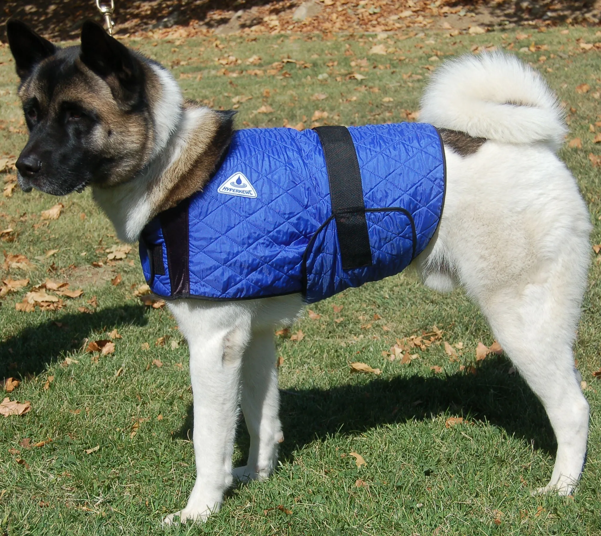 HyperKewl Dog Cooling Vest