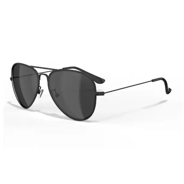 Leech ATW1 Black Smoke Sunglasses