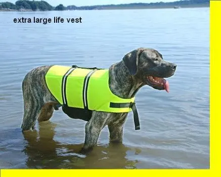 Neon Yellow Dog Life Jacket