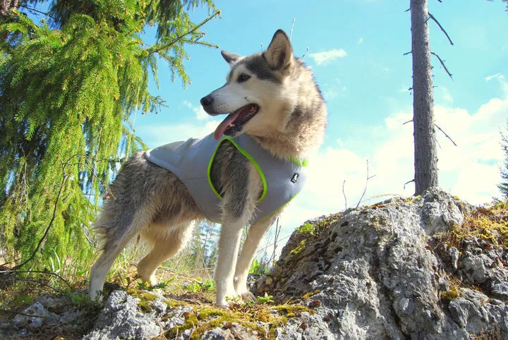 Neon Yellow XS Dog Cooling Vest with Velcro Zippers